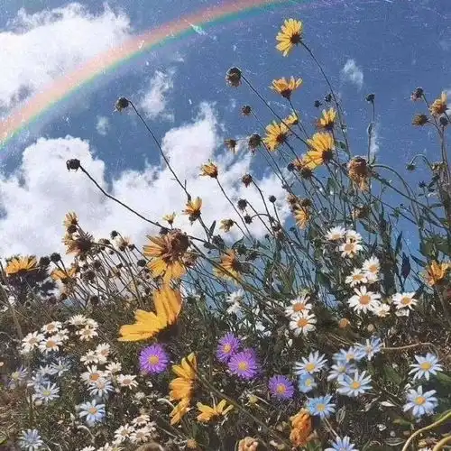 女人别傻了,清醒点,有些男人真的不值得