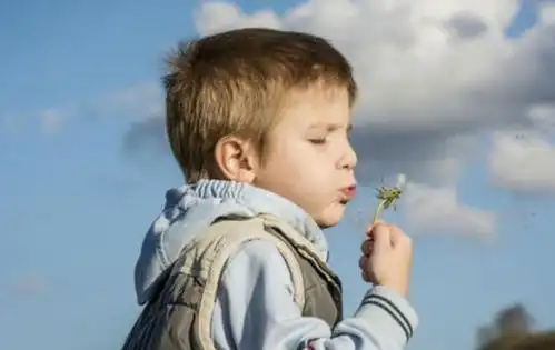 儿媳生下混血女儿,婆婆偷偷做亲子鉴定,知道真相却毁掉家庭