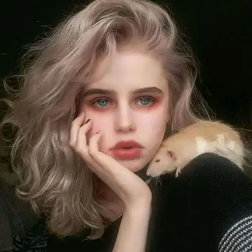 美女与老鼠