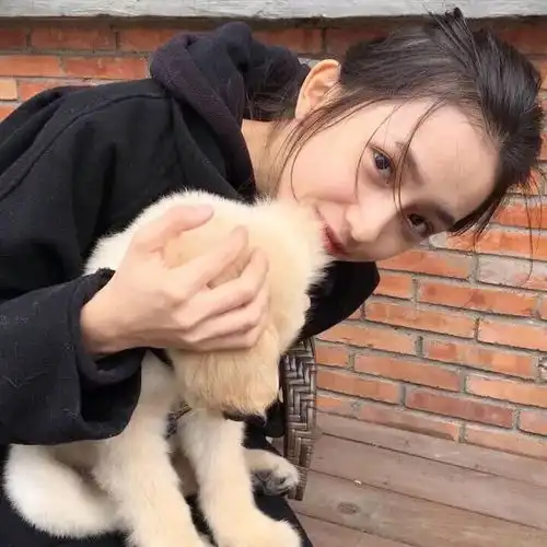 女头我还是忘不了你