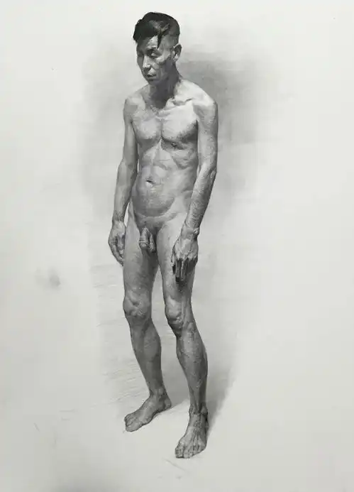 精彩云课素描教学基础叶南造型学院基础部公开课