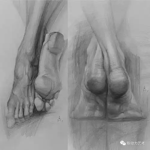 他的结构素描线条美炸,联考前你一定要看