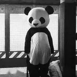 情侣头像单人情头特别甜的土味情话短句