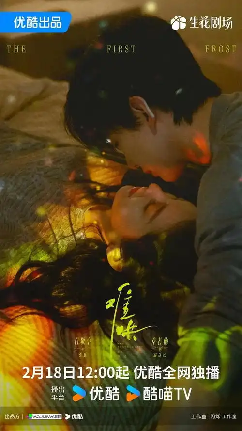 你追过几部2025年最火电视剧榜单曝光