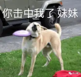 每日囧图女孩子的不见得比男生大