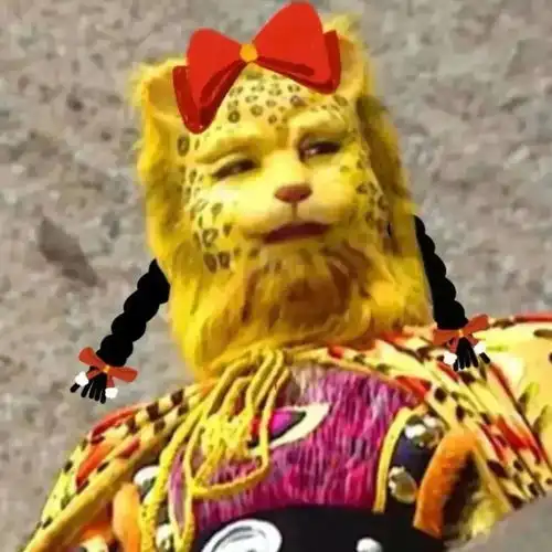 热门金钱豹合集