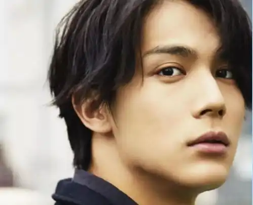 2019年票选日本爆红男演员top10出炉,贺来贤人第二,第一竟然是他