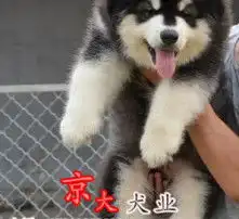 黄页88高清图片
