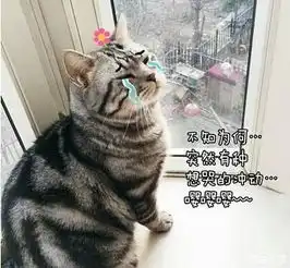 我叫你游戏达人你敢答应吗还有大奖等着你_唐山成龙铭泰4s店新闻资讯-汽车之家