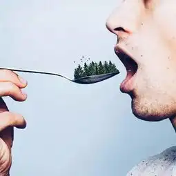 假期照片她这么拍