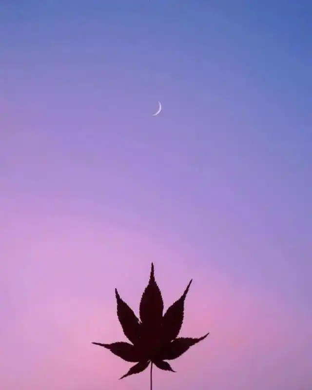 朋友圈最精辟的心灵鸡汤,看完让人大彻大悟