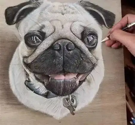 超逼真的木板3d绘画,你被第几个震惊到