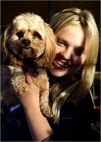 活久见日本流行给狗狗报班听讲座,价格竟比孩子早教还贵