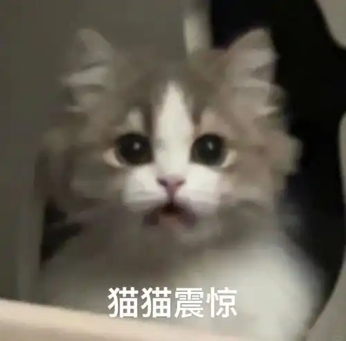 不做手术能去眼袋吗