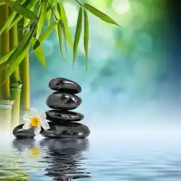 求一些古风风景图,最好是有关竹子的,最好比较清新淡雅,颜色不要太暗的