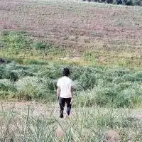 微信头像风景或花草高清字微信头像图片大全