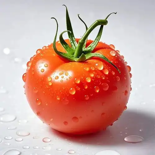 全网最干净的头像