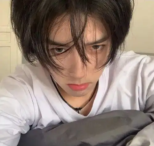 头像那天早上雾散了不止早上不止雾