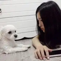 请帮我找几个qq头像