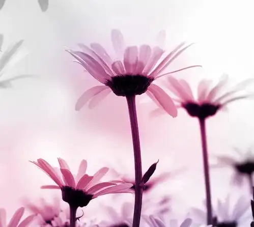 第一次见女儿男友,丈母娘要求买50000元包包,结果出现神反转