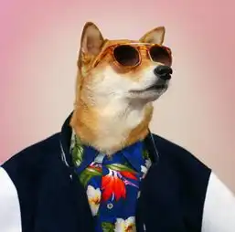 秋田犬穿衣服这组图片缺了几张大神帮我补上