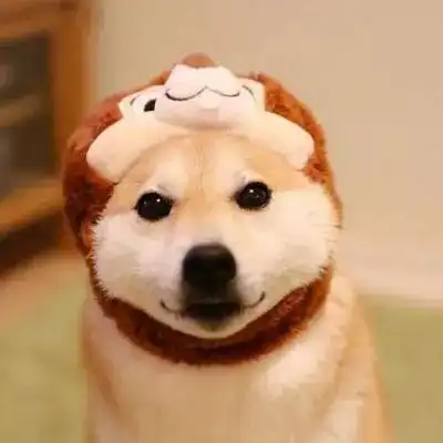 2023最新超萌狗狗微信头像