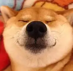 大雪拦住了爱情,小伙跨省挽回女友却碰上了停运