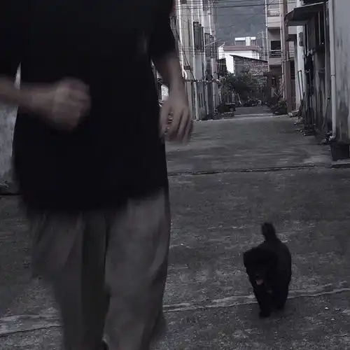 突然就什么都想开了的文案