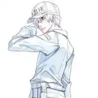 工作细胞白血球头像动漫工作细胞系列头像