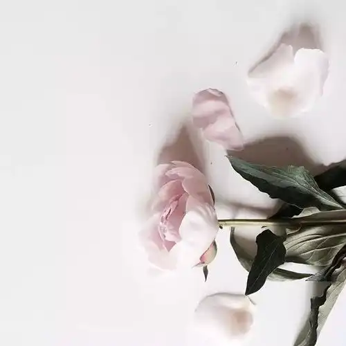 我一醒来就想你了