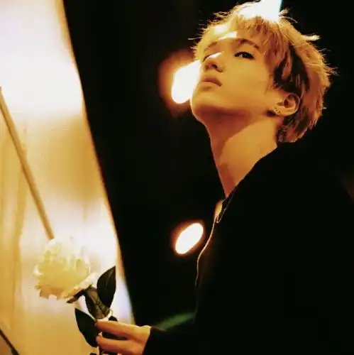 头像超可爱头像赶快收藏吧