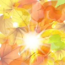 明媚阳光草原背景矢量