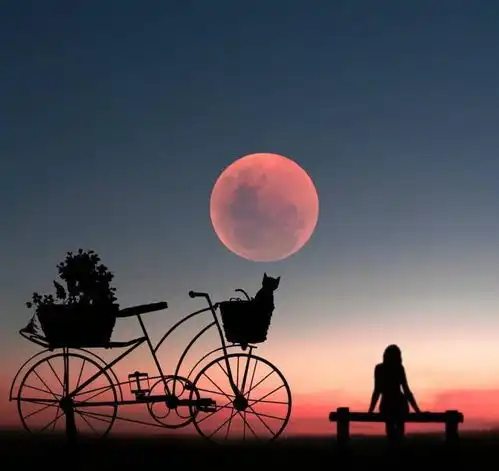 朋友圈最现实的哲理语录,经典至极,大彻大悟