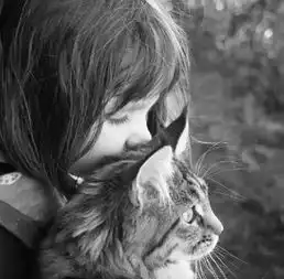 愿世上所有的孤独,都可以被爱融化文末有礼