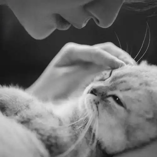 人生就像一杯茶,不会苦一辈子,但总会苦一阵子