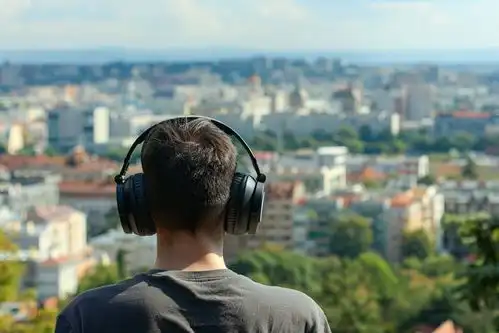 戴耳机的年轻人背影摄影图下载至来源处