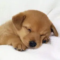 芒种时节,想做让对方忘不了的男人女人来看医生教你怎么做