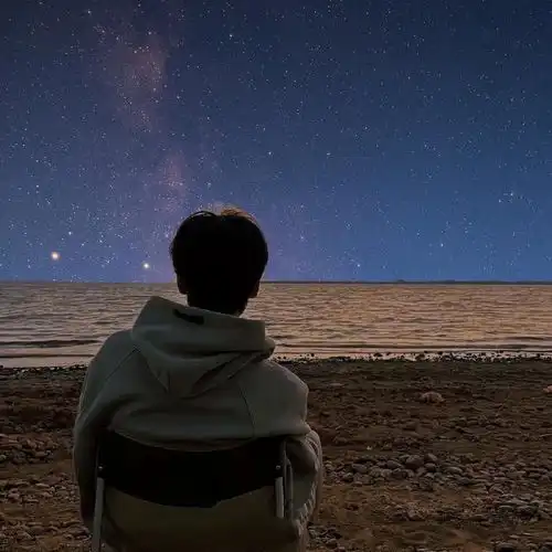 被孤独拉满的头像