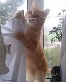 男朋友给我买的耳坠,说是今年最新款,不知道他骗我没有