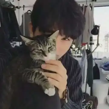 任何美好而痛苦的回忆都已成为昨天的音乐,啥都会从你身边溜走