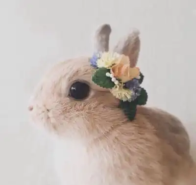 瑾朵朵的相册cuteoverload