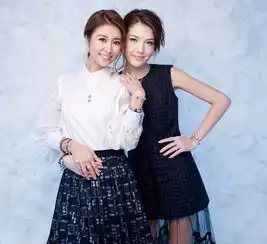 台女星林心如闺蜜许玮甯点赞内涵大陆的内容,本人发博这样回应