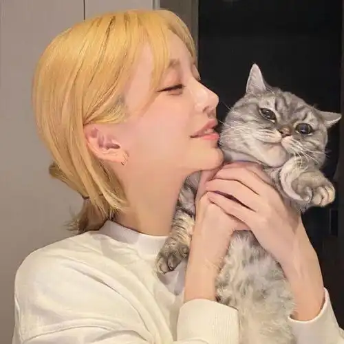 超好看的头像你不心动