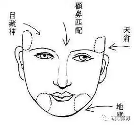 非富即贵女人这里生的大,不是富婆就是贵妇