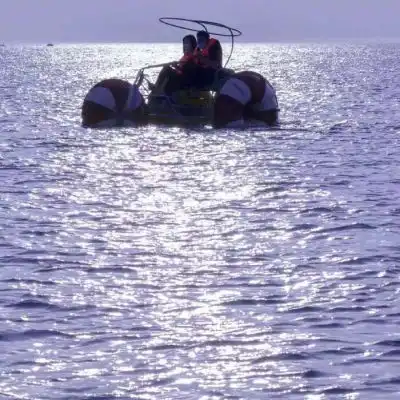 林知意紫色背景治愈给生活添加风景静物头像我要个性网