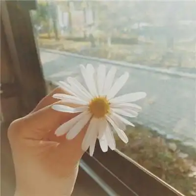 收藏感情和表达感情哪个更有利于人际交往