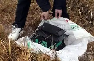 男子寂寞偷骨灰盒让人难以理解2