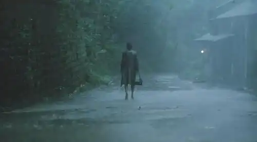 大雨哗哗下,我们什么都不怕