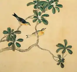 慎幸没有被蒋介石带走的国宝级清宫鸟谱图,太美