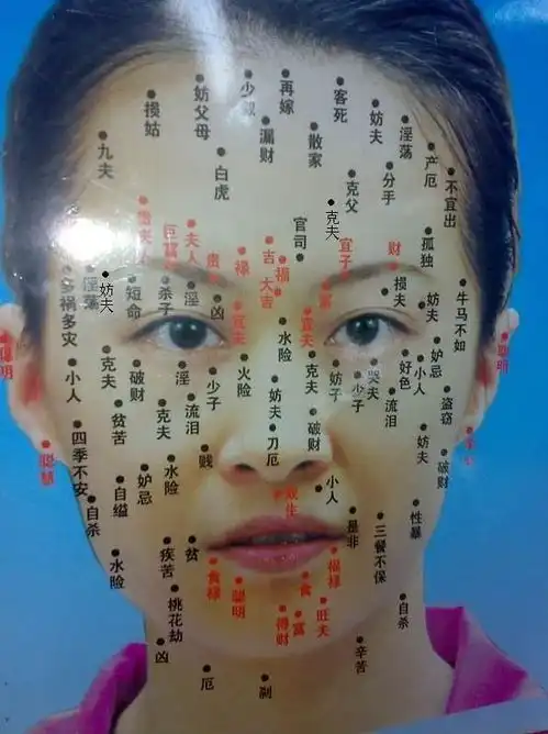 玄静风水脸上长痣的位置与命运图解